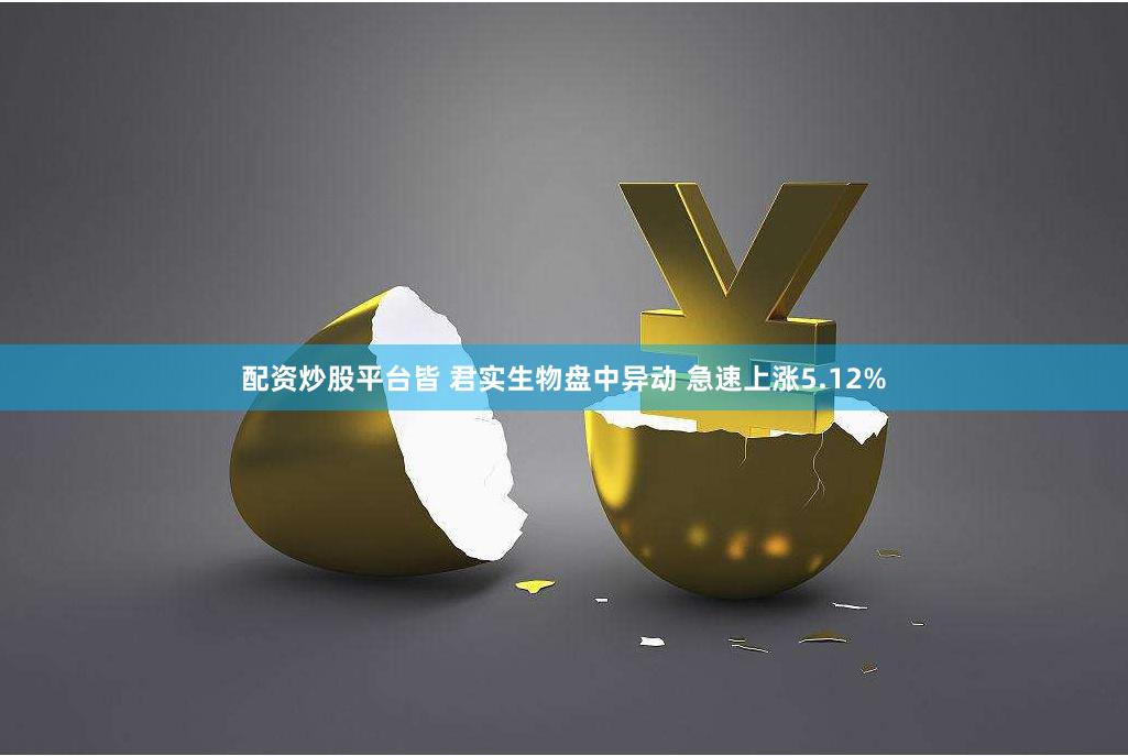配资炒股平台皆 君实生物盘中异动 急速上涨5.12%