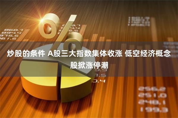 炒股的条件 A股三大指数集体收涨 低空经济概念股掀涨停潮