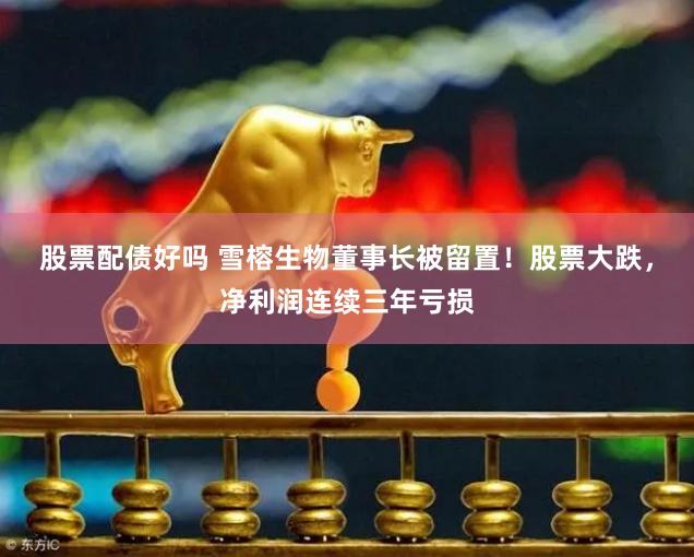 股票配债好吗 雪榕生物董事长被留置！股票大跌，净利润连续三年亏损