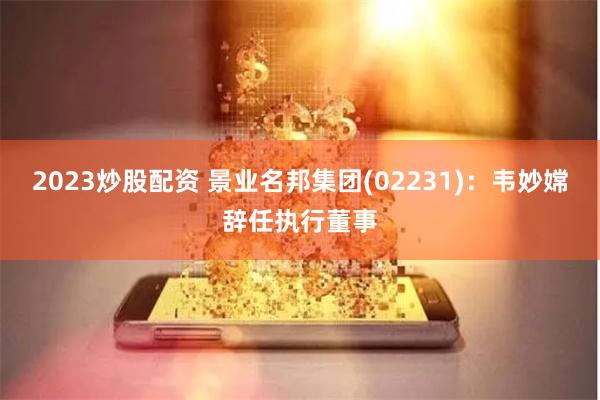 2023炒股配资 景业名邦集团(02231)：韦妙嫦辞任执行董事