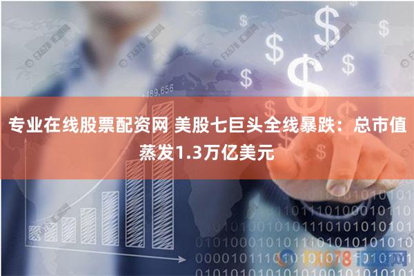 专业在线股票配资网 美股七巨头全线暴跌：总市值蒸发1.3万亿美元