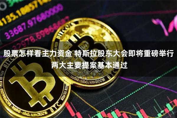股票怎样看主力资金 特斯拉股东大会即将重磅举行 两大主要提案基本通过