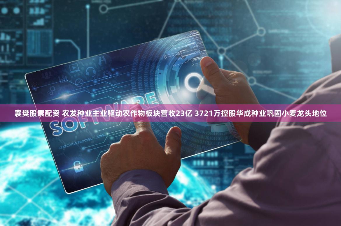 襄樊股票配资 农发种业主业驱动农作物板块营收23亿 3721万控股华成种业巩固小麦龙头地位