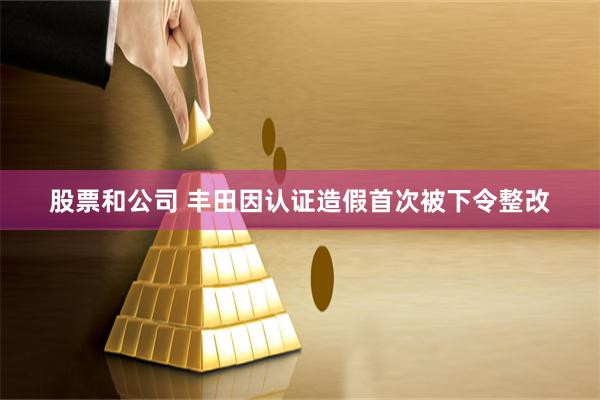 股票和公司 丰田因认证造假首次被下令整改